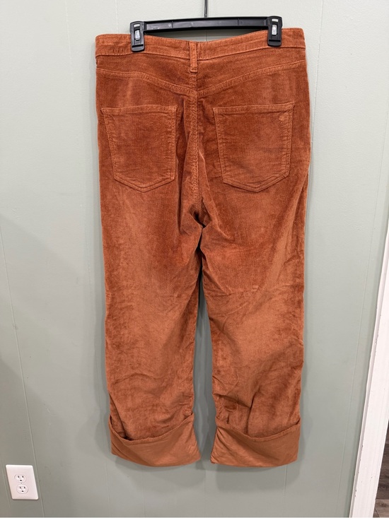 Pilcro Denim - Womens Corduroy Pants in Rust